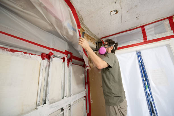 Trusted Huron, OH Mold Removal Experts