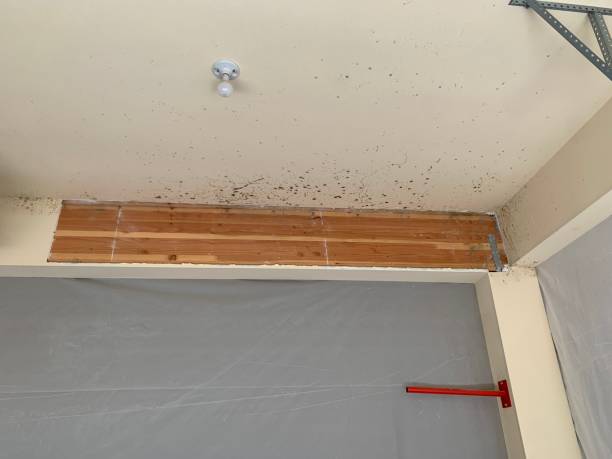 Best Post-Construction Mold Inspection  in Huron, OH